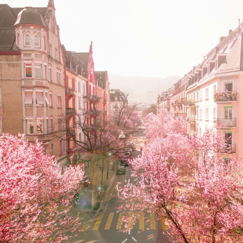 6.M&auml;rz.2026 Klassik GenussTour Z&uuml;rich