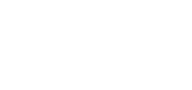 VZUG
